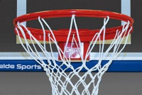 кольцо баскетбольное пружинящее pro-action 180° schelde sports 910-s6.s2025